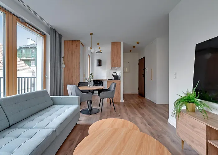 公寓 Lion - Mloda Polska Nowe Z Parkingiem 索波特